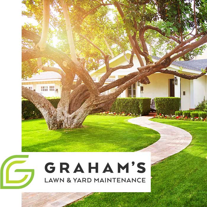 Well kept suburban front lawn with Graham's logo