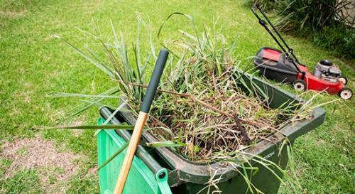 Tidy yard with bin full of green waste and mower in background