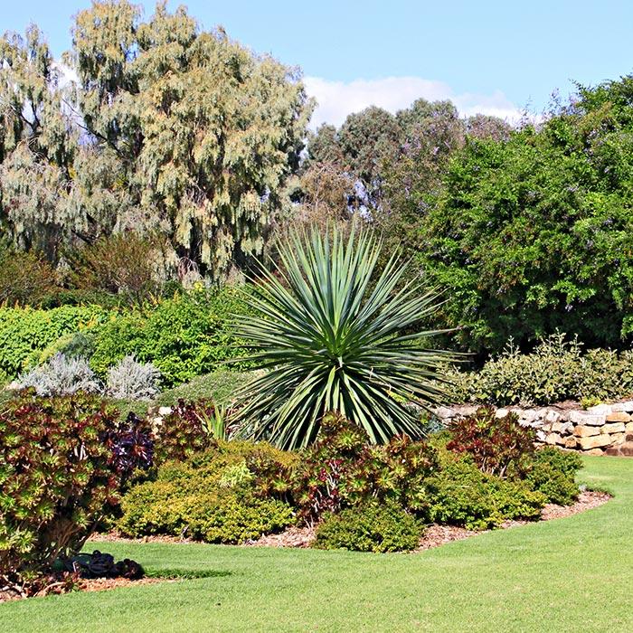 Beautiful landscaped garden Brisbane