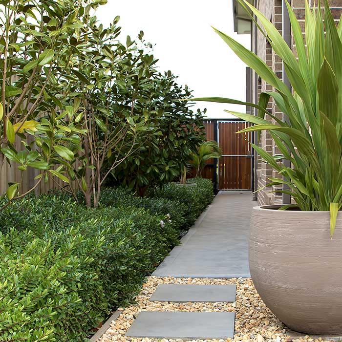 Modern paved side of yard with garden bed and pots