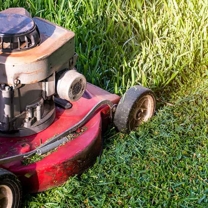 Lawn mower closeup